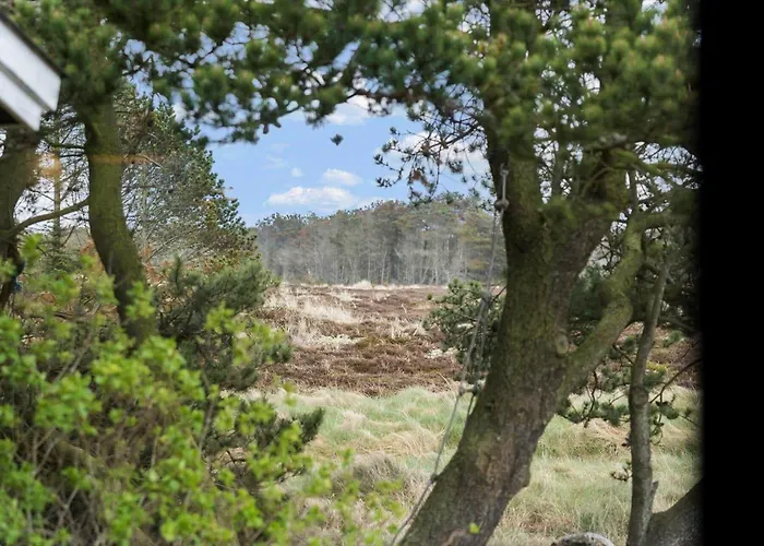 1014-thisted-sletningen-7 *